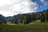 Bernhard Saalfeld - Am Hochgrat